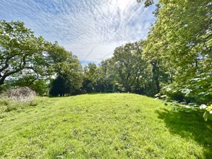 Photo 30- click for photo gallery